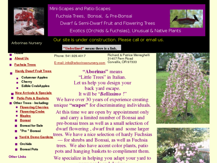 www.arborinasnursery.com