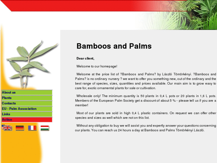 www.bamboosandpalms.com