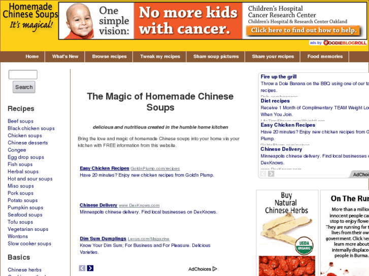 www.homemade-chinese-soups.com