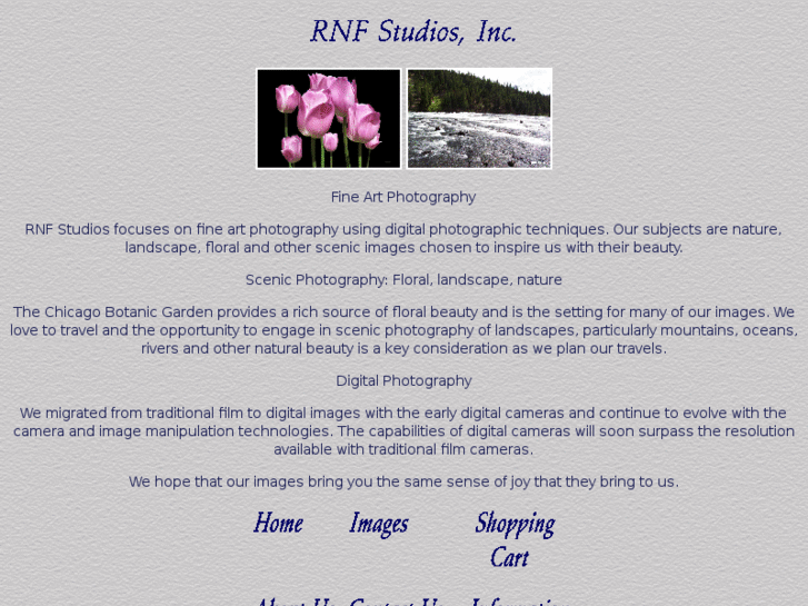 www.rnfstudios.com