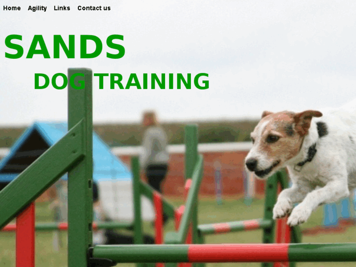 www.sandsdogtraining.com