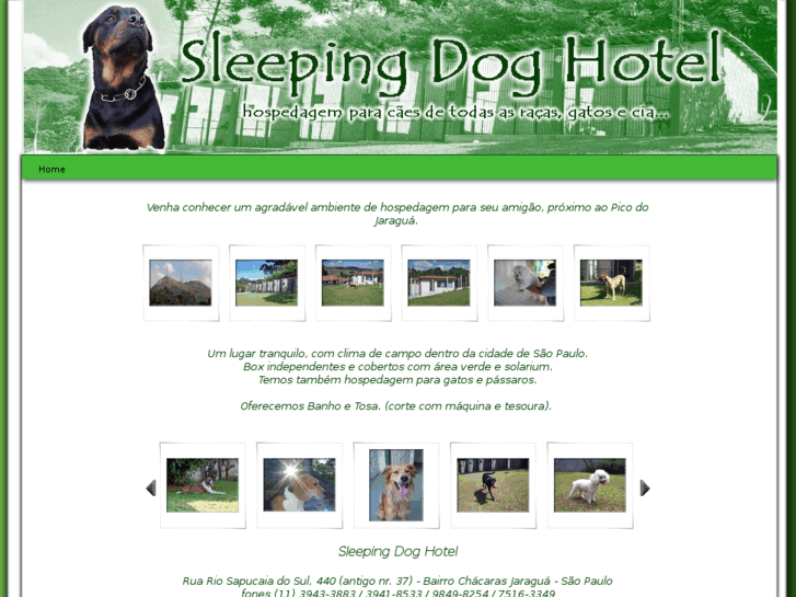 www.sleepingdoghotel.com