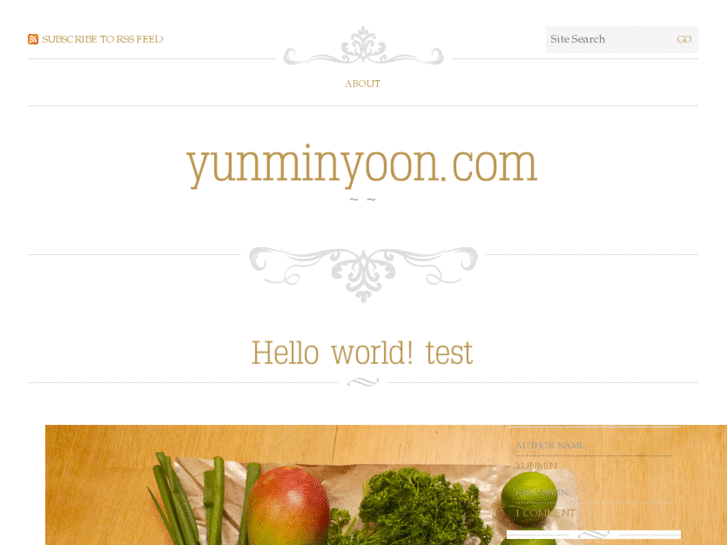 www.yunminyoon.com