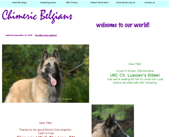 www.belgiandogs.com