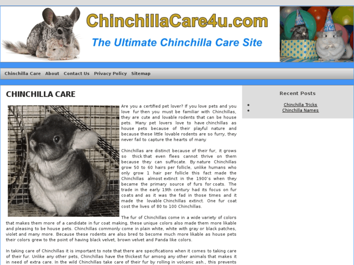 www.chinchillacare4u.com