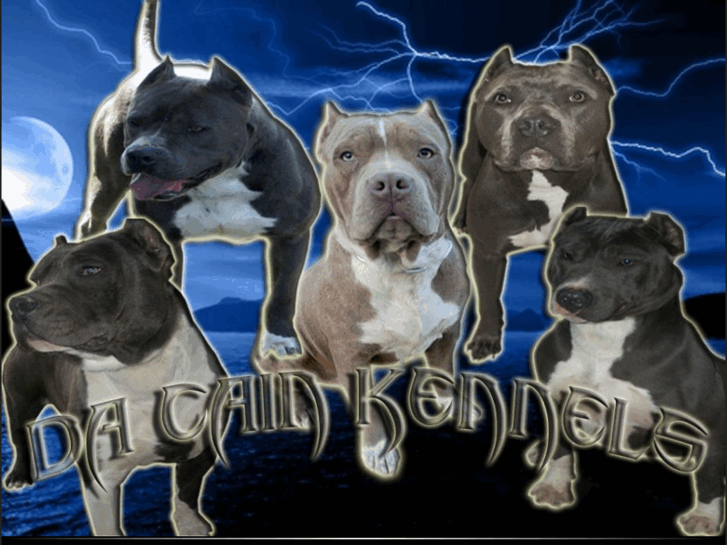 www.dacainkennels.com