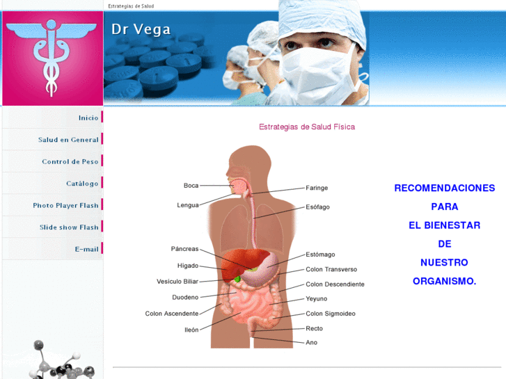 www.drvega.com