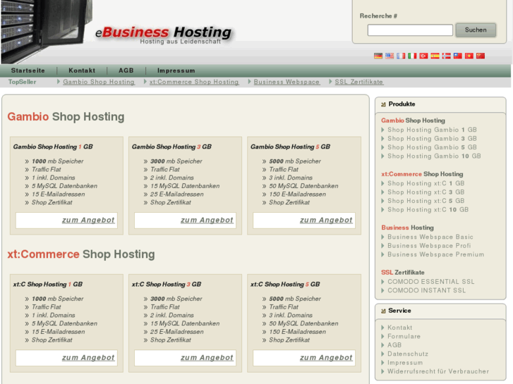 www.ebusiness-hosting.de