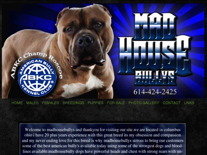 www.madhousebullys.com