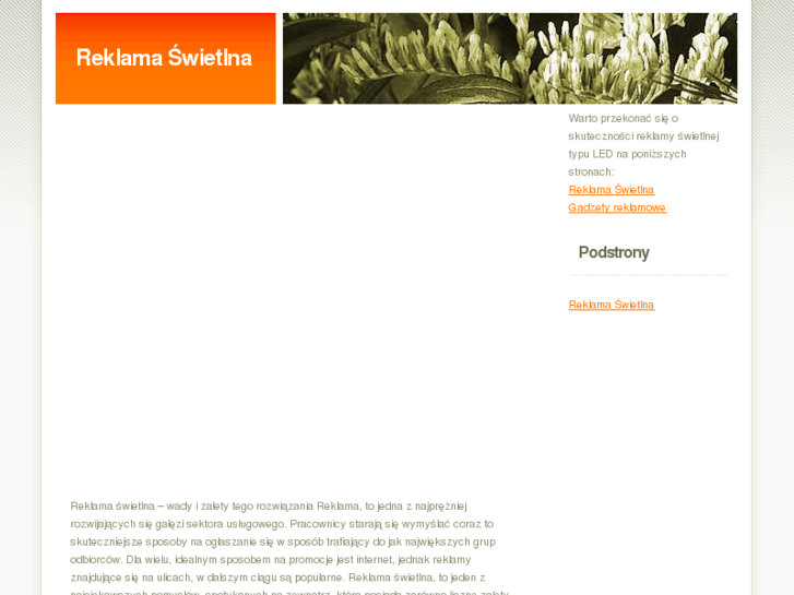 www.reklamaswietlna.net