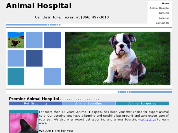 www.tuliaanimalhospital.com