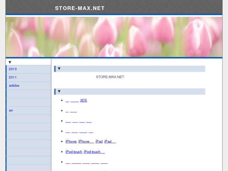 www.store-max.net