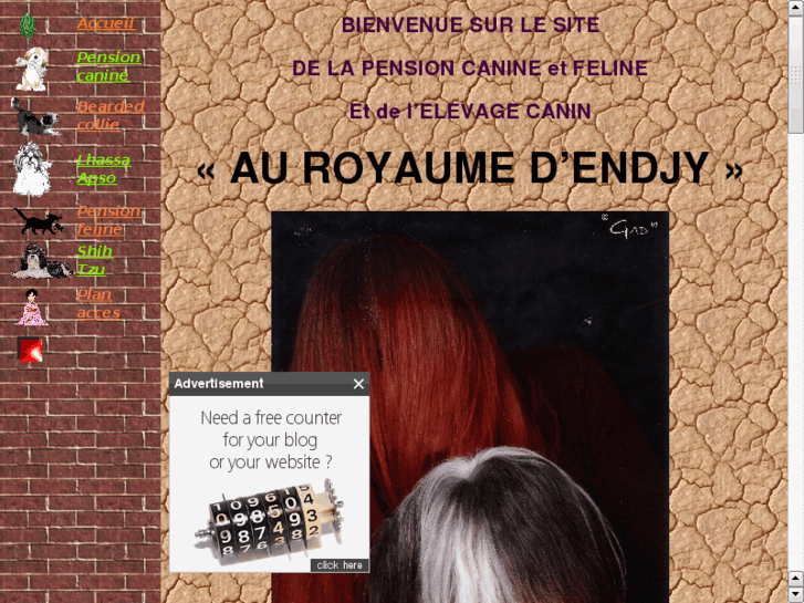 www.auroyaumedendjy.net