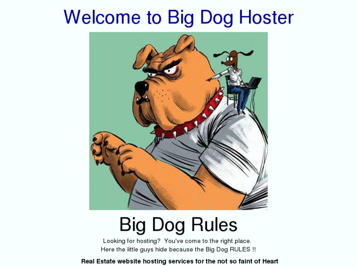 www.bigdoghoster.com