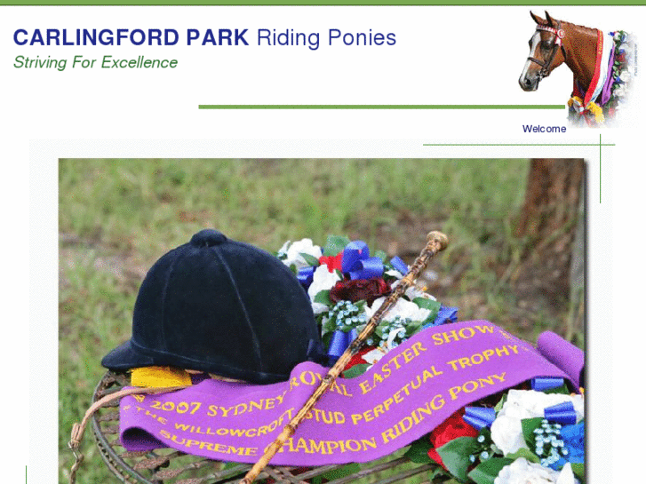 www.carlingfordpark.com