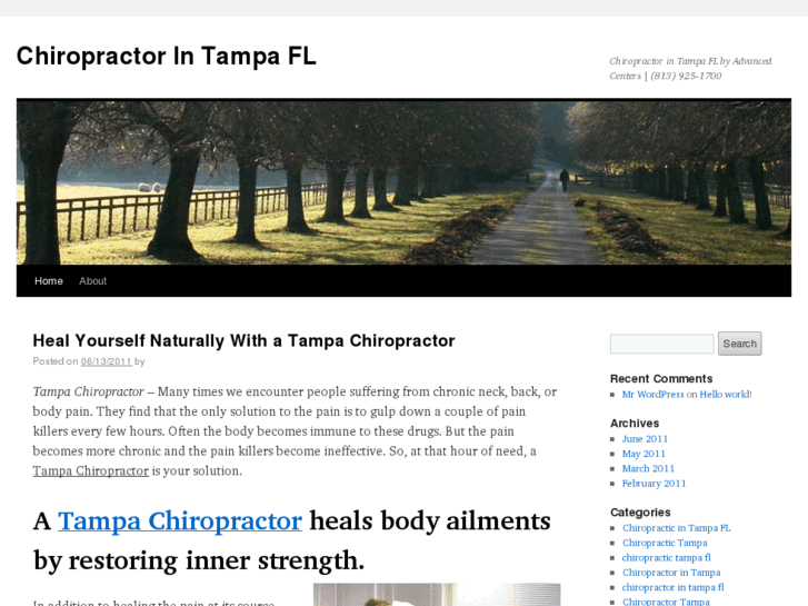 www.chiropractorintampafl.com