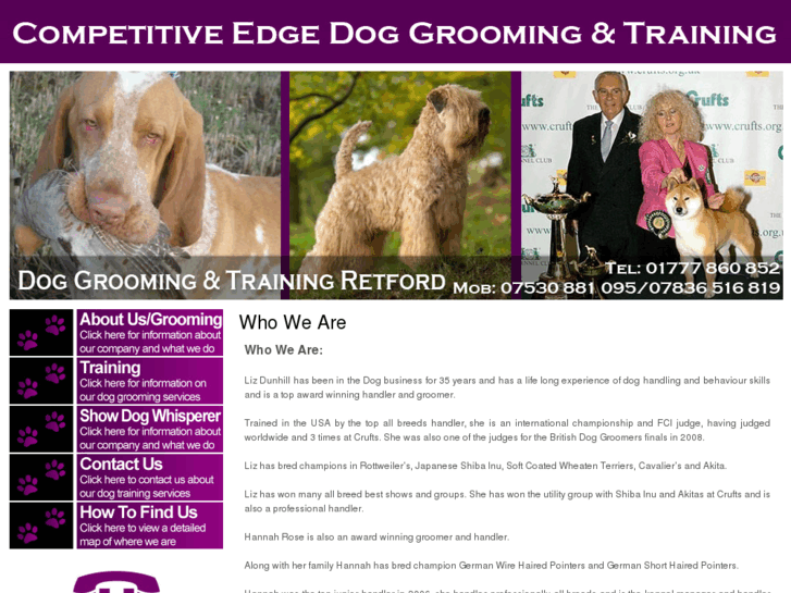 www.competitiveedge-dogtraining-grooming.com