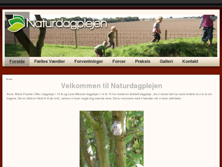 www.naturdagplejen.com