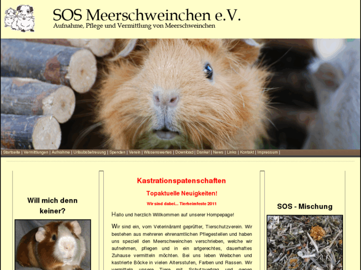 www.sos-meerschweinchen.de