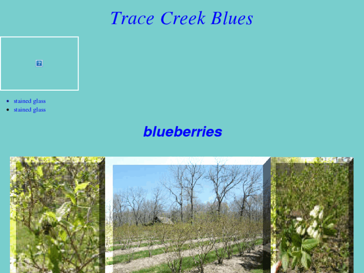 www.tracecreekblues.com