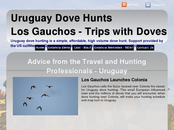 www.uruguaydovehunts.com