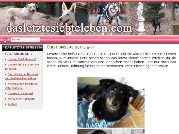 www.dasletztesiebteleben.com