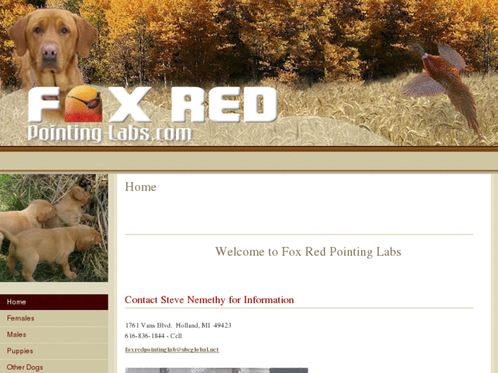 www.foxredpointinglabs.com