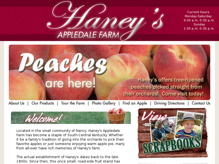 www.haneysappledalefarm.com