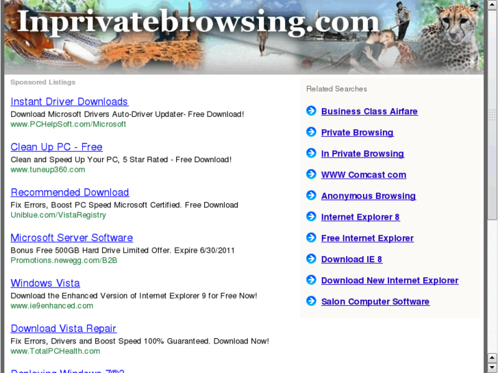 www.inprivatebrowsing.com