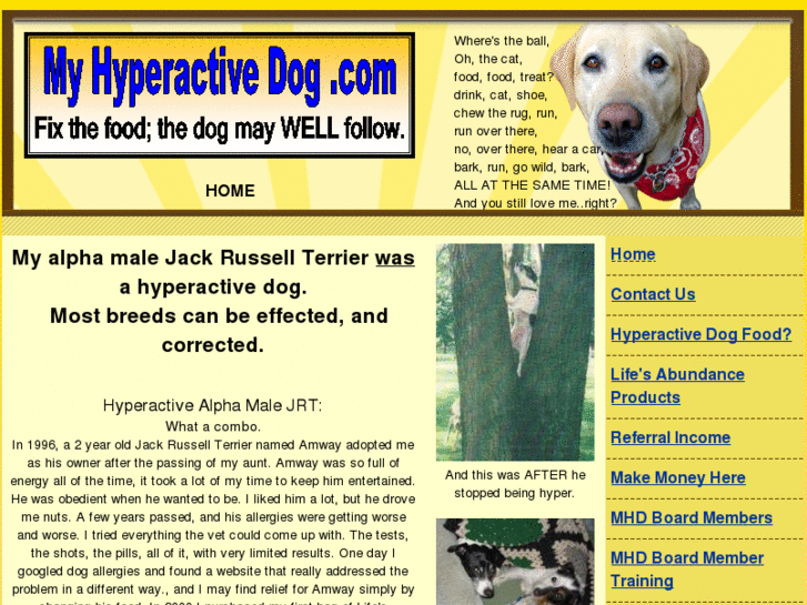 www.myhyperactivedog.com