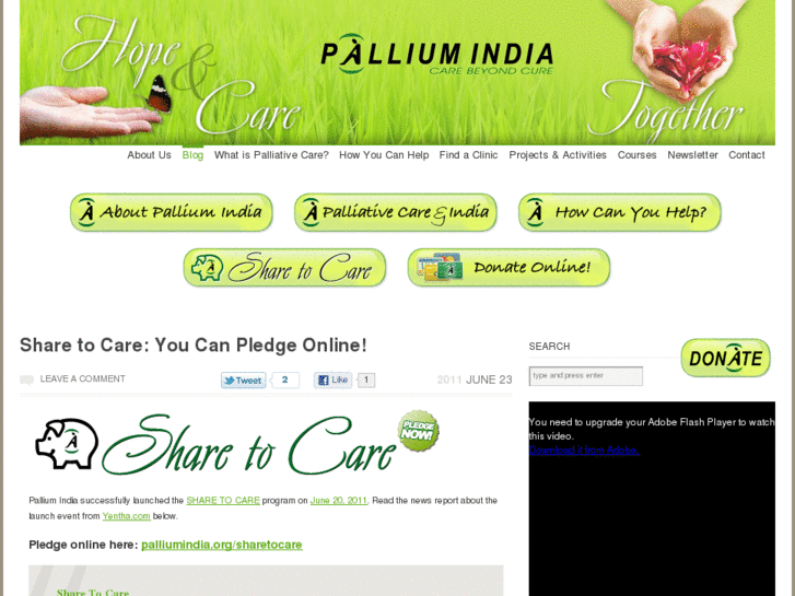 www.palliumindia.org