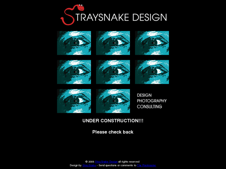 www.straysnake.com