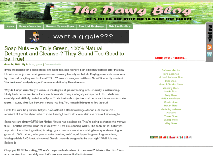 www.thedawgblog.com