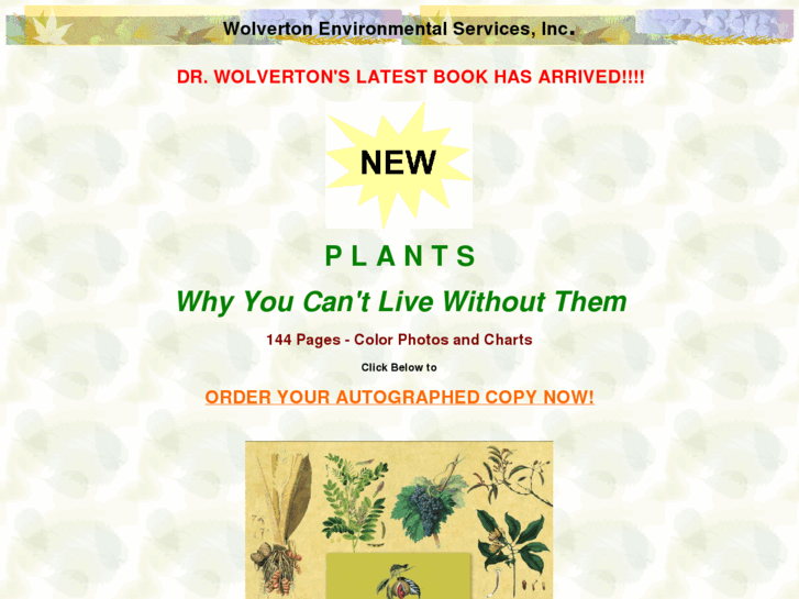 www.wolvertonenvironmental.com