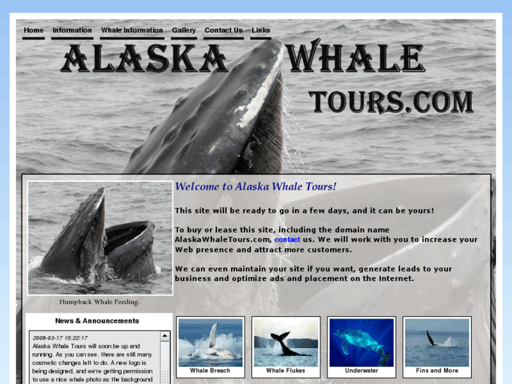 www.alaskawhaletours.com