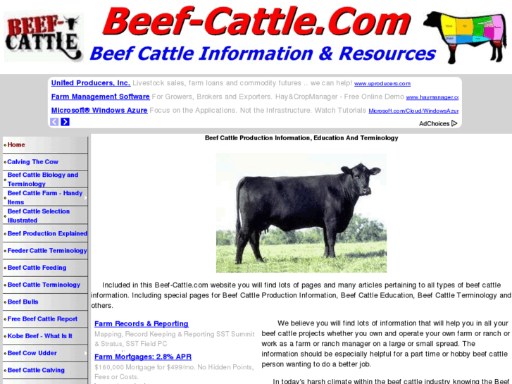 www.beef-cattle.com