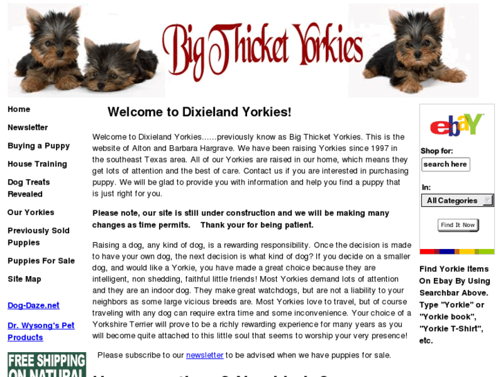 www.dixielandyorkies.com