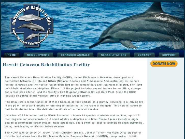 www.dolphinrehab.org