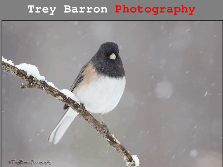 www.treybarronphotography.com