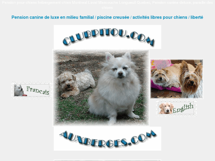 www.amourdechien.com