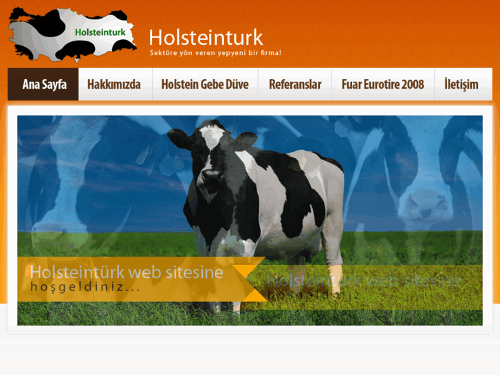 www.holsteinturk.com