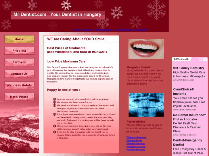 www.mr-dentist.com