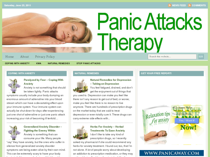 www.panicattackstherapy.net