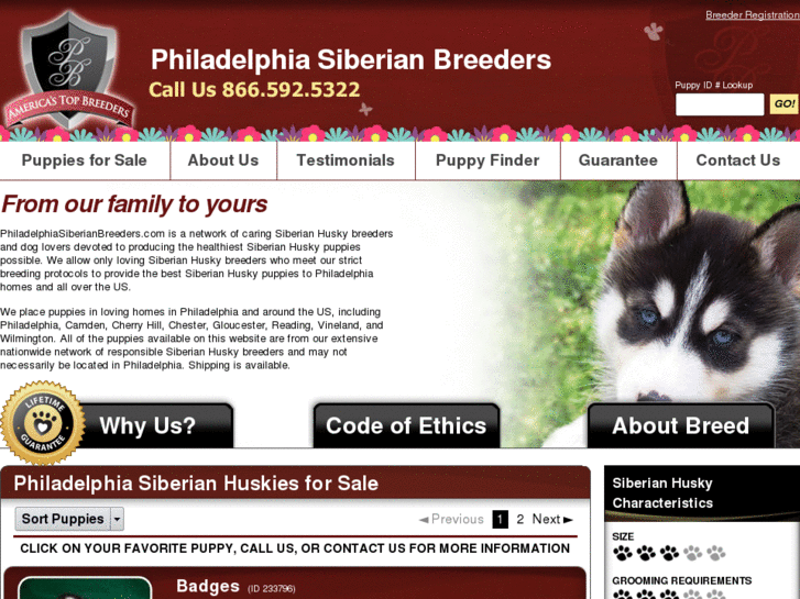 www.philadelphiasiberianbreeders.com