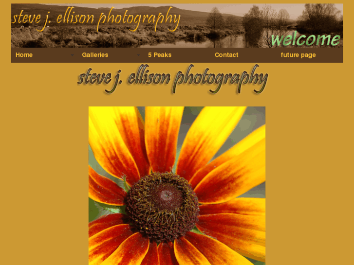 www.sjellison.com