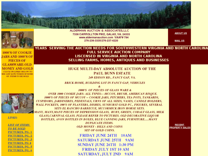 www.aldermanauction.com