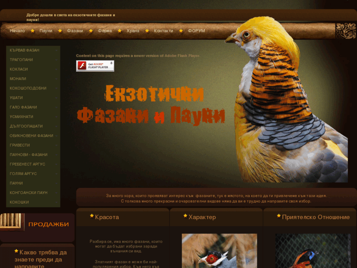 www.egzoticpheasant.com