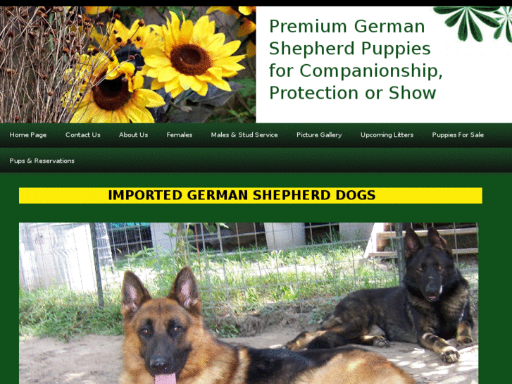 www.germanshepherdexpress.com