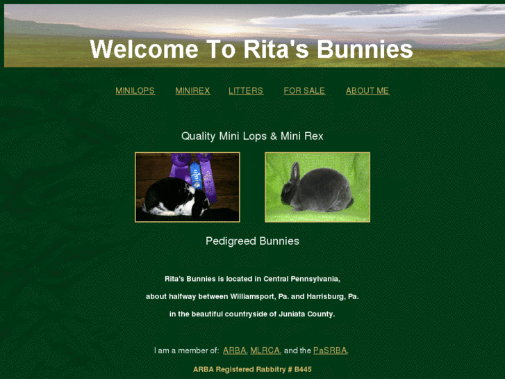 www.ritasbunnies.com