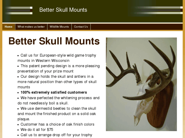 www.betterskullmounts.com